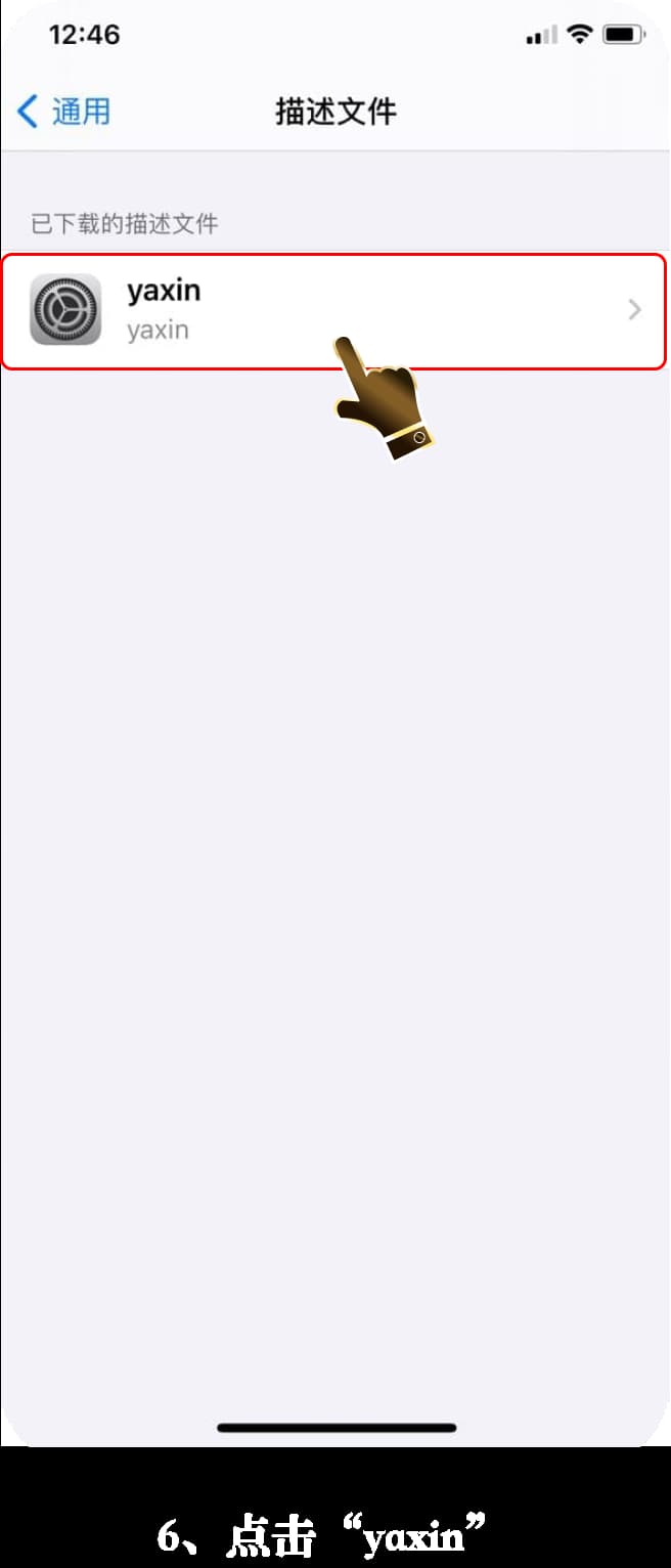 iOS官方应用安装流程图示6
